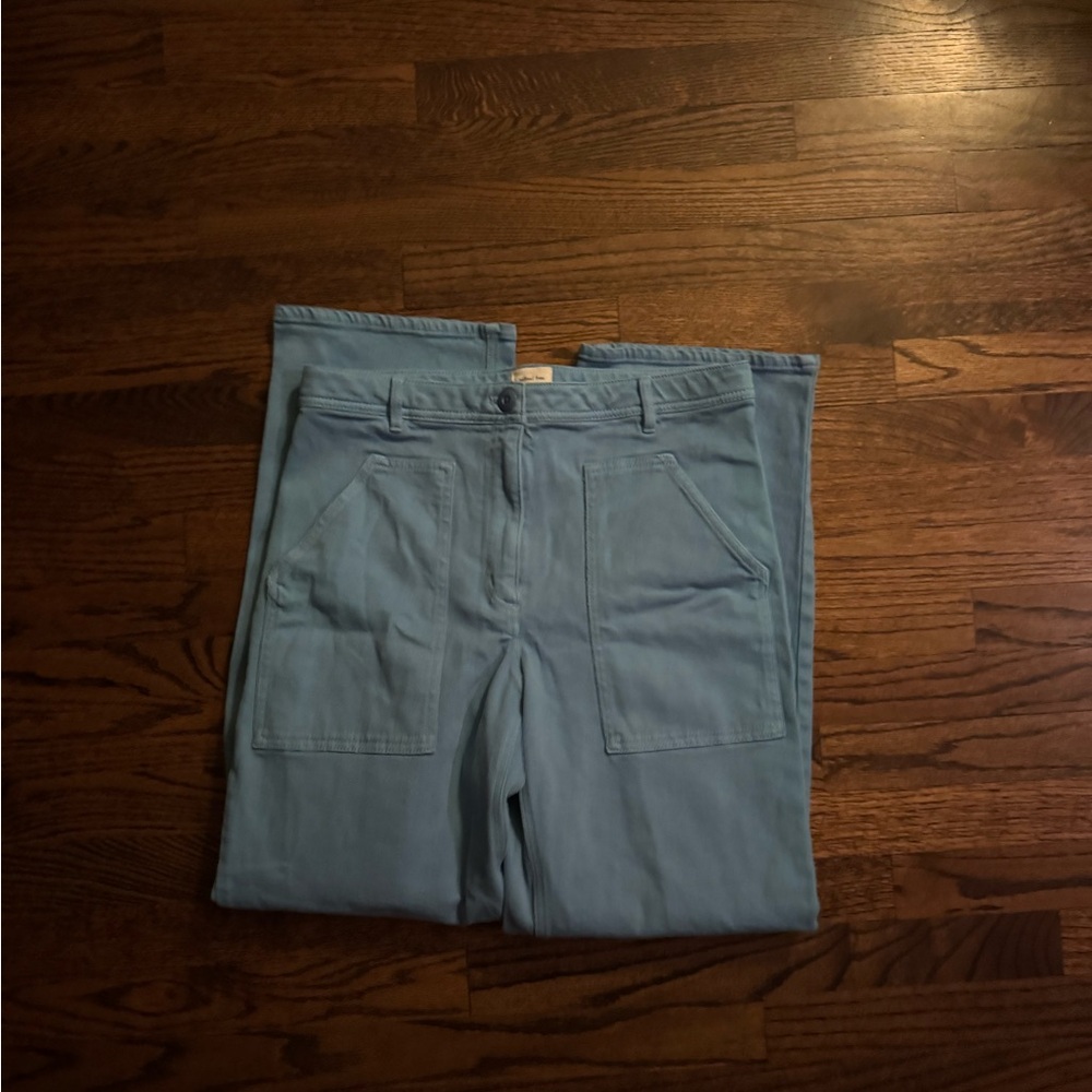 Aritzia chic pants, NO TAGS BUT NEVER WORN